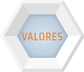 Exsicoop Valores