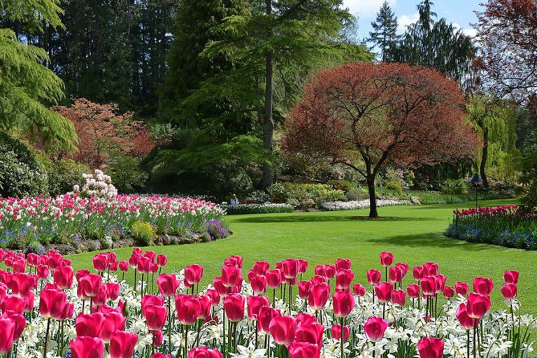 Jardinería y paisajismo